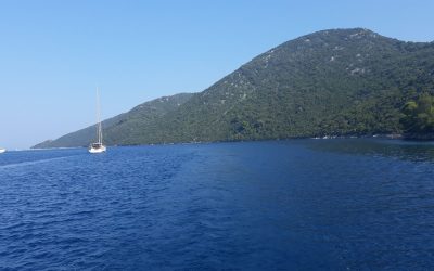IMG-20190812-WA0005
