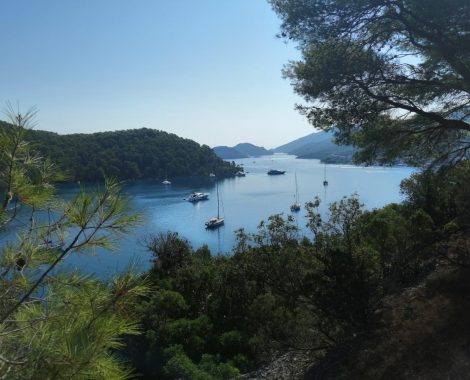 IMG-20191230-WA0005